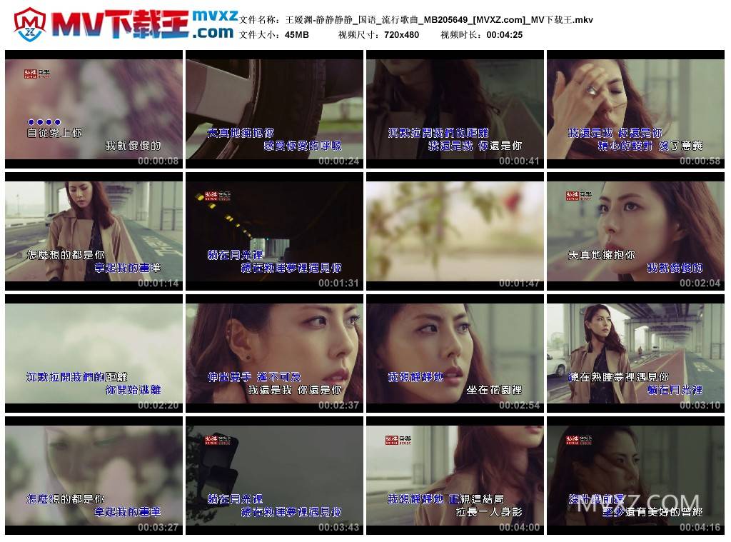 王媛渊-静静静静_国语_流行歌曲_MB205649